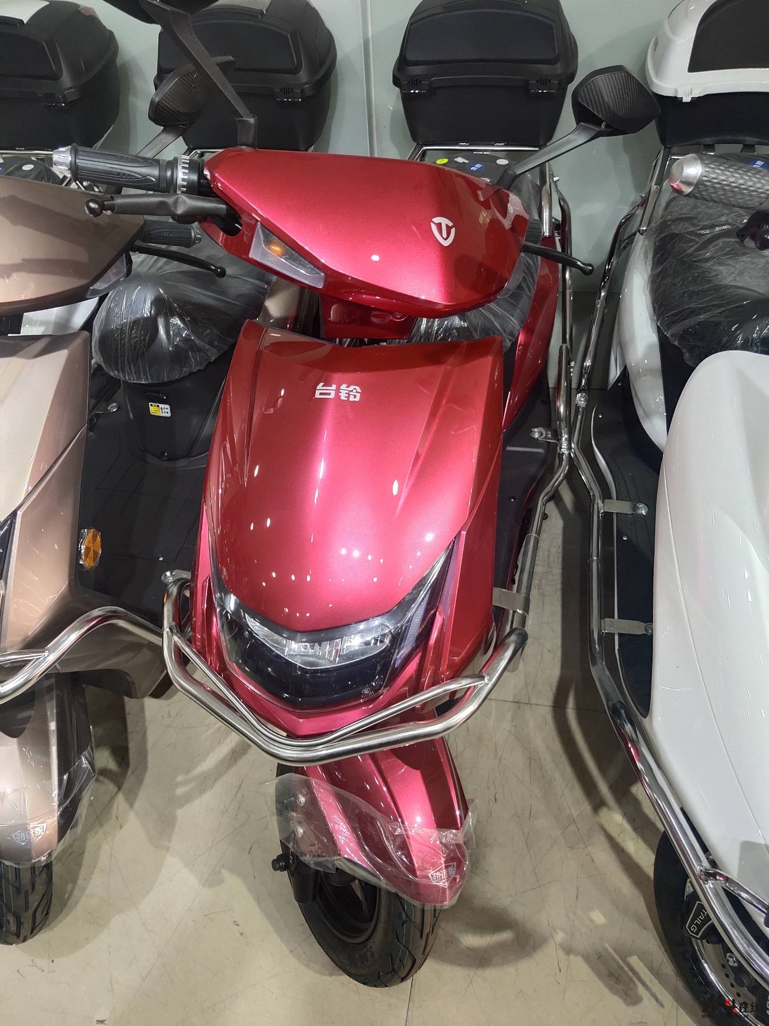 本店主销台铃电动车,五星钻豹电动车,金狮鸟