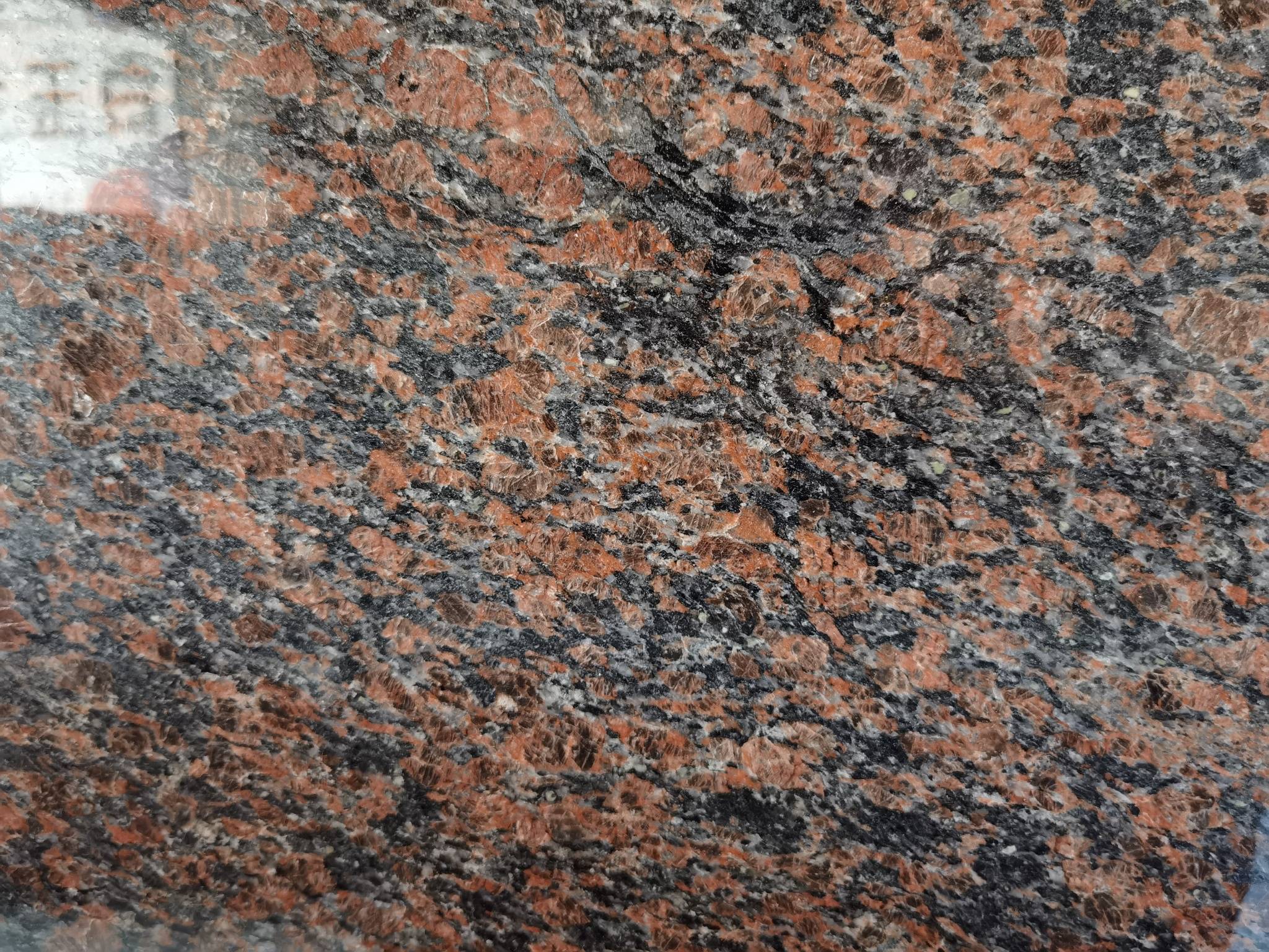 加州红龙,紫荆兰,英国棕,红棕,湖北白麻